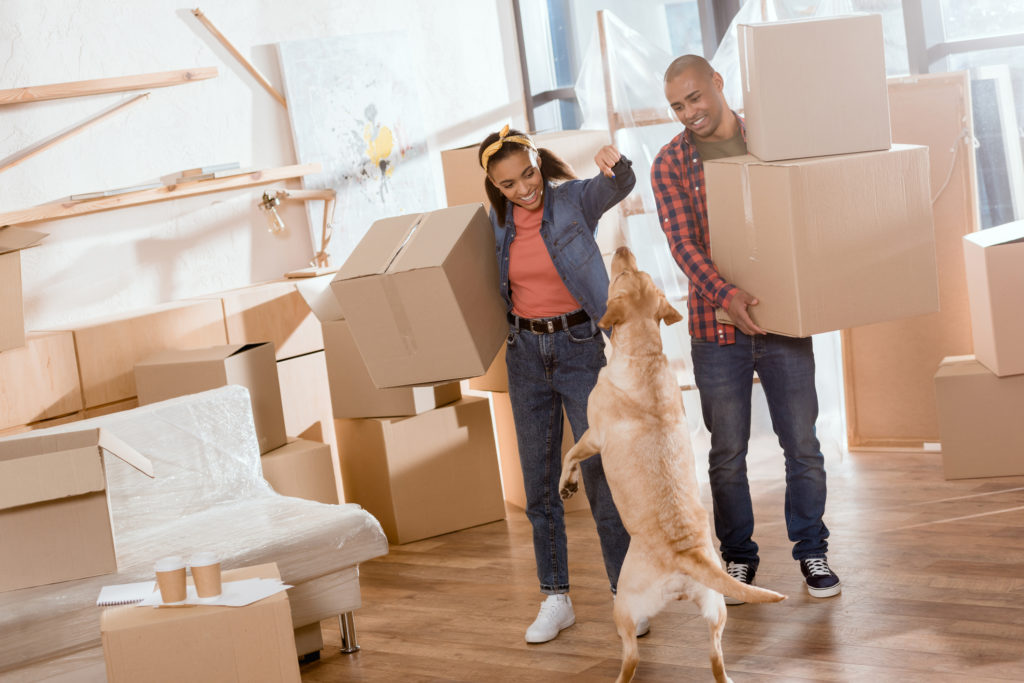 Moving House with Your Dog